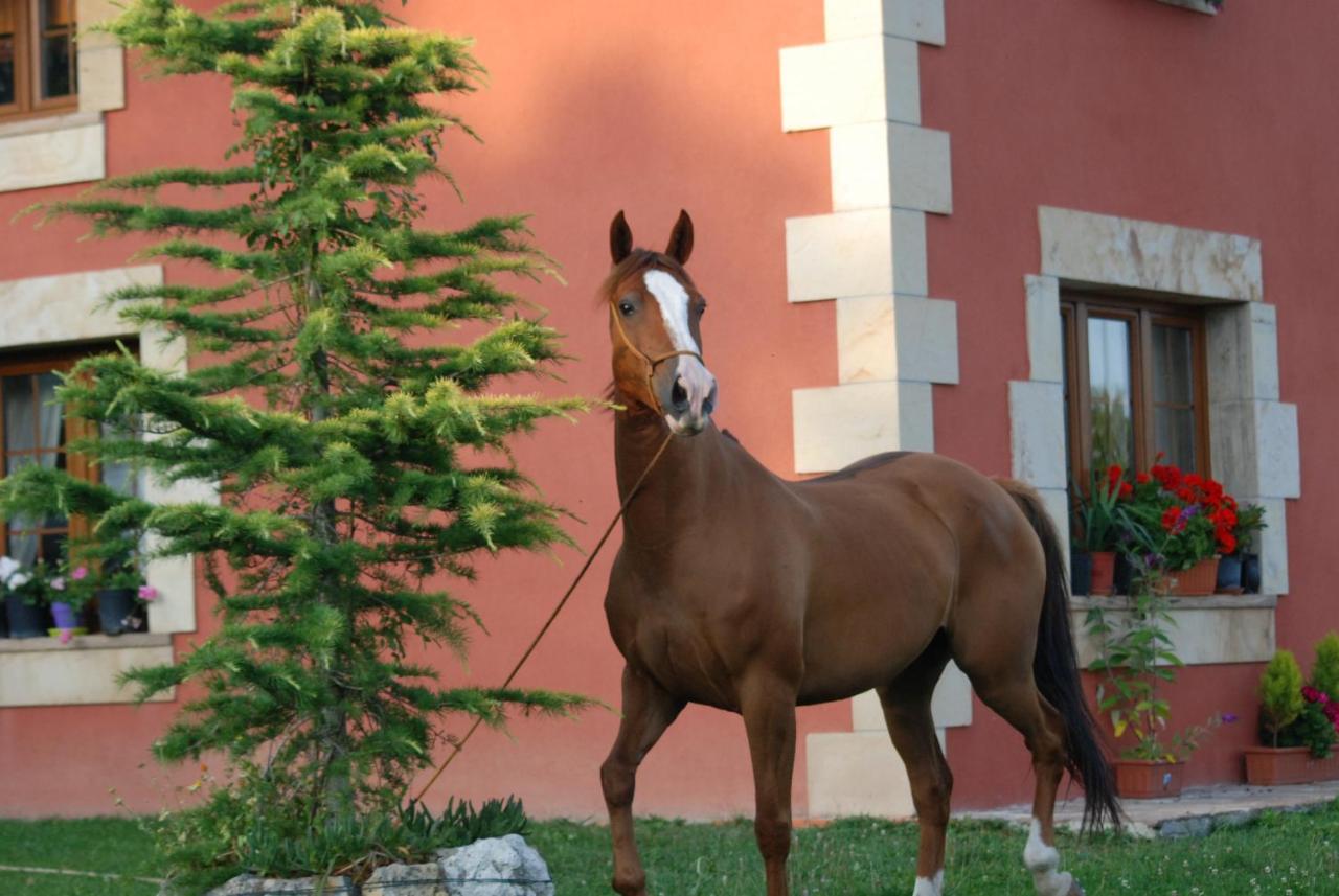 Casucas La Guariza Villa Fontibre ภายนอก รูปภาพ